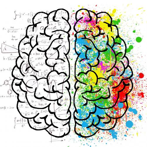 Un dessin représantant un cerveau dont la moitié est en blanc avec des formules mathématiques et l'autre est pleine de couleurs