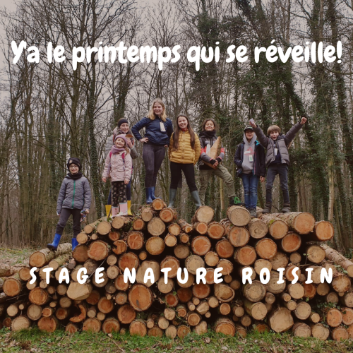 Y'a le printemps qui se réveille!