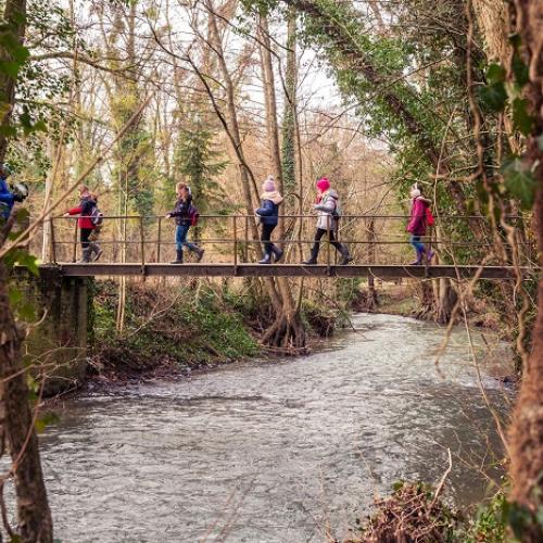 Des enfants, en file, traverseent un pont au dessus de la rivière, dans les bois de Honnelles