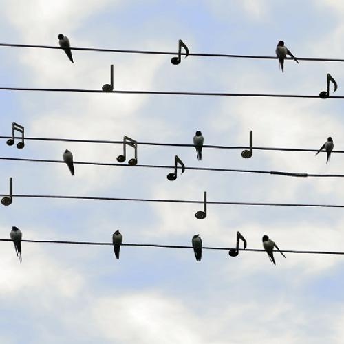 Une clé de sol et des notes de musiques représentées commes des oiseaux sur un fil, avec le ciel en arrière-plan