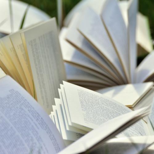 Plein de livres ouverts étalés sur de l'herbe