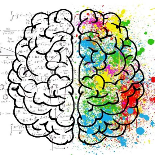Le cerveau et ses deux hémisphères, l'un rationnel et l'autre créatif