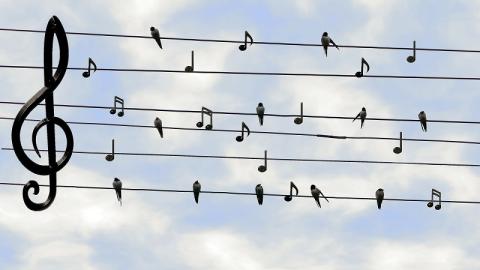 La clef des champs – cavalcade des voix