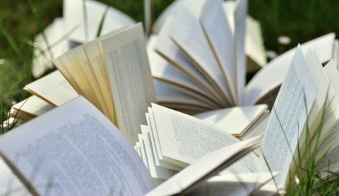 Détournements de livres