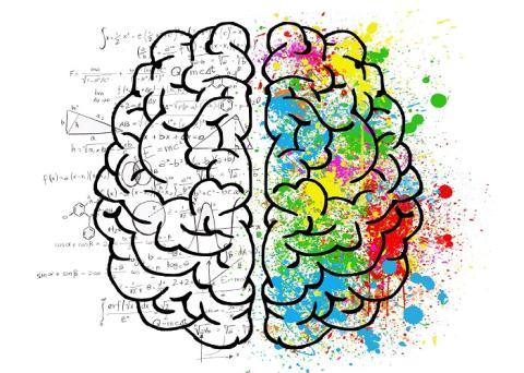 L’influence des biais cognitifs dans les groupes