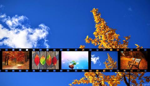 Cinéma en liberté (édition automne)