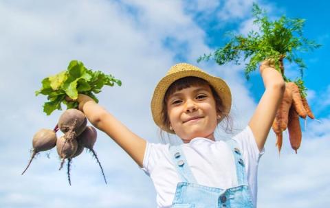 Explore ton environnement et ta créativité !