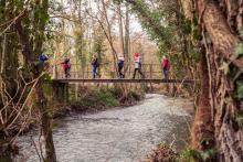 Un groupe d'enfants en balade dans la nature autour de Roisin